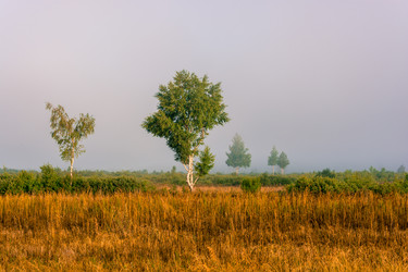 Similar image 6509125