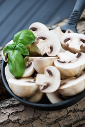 Similar image 6509434