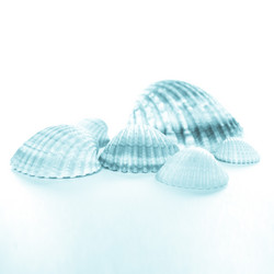 Similar image 6509690