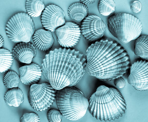 Similar image 6509814