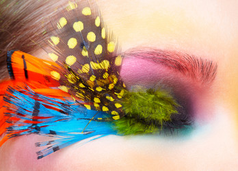 Similar image 6509848