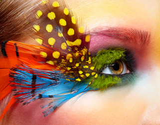 Similar image 6509877