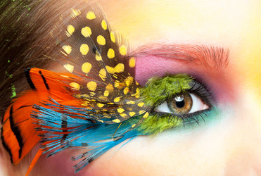 Similar image 6509891