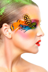 Similar image 6509908