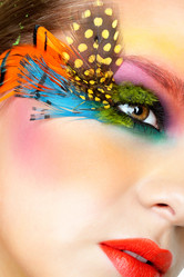 Similar image 6509910