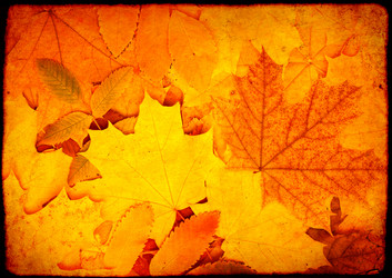 Similar image 6509946