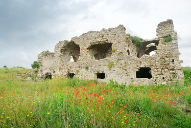 Similar image 6509954