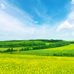 Similar image 6509957