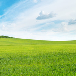 Similar image 6509961