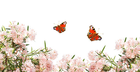 Similar image 6509972