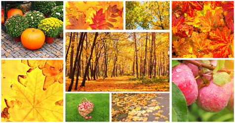 Similar image 6509975