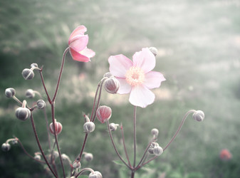 Similar image 6509983