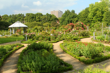 Similar image 6510006