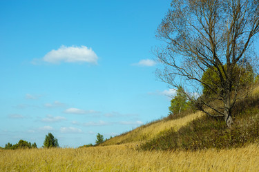 Similar image 6510020