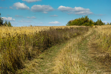 Similar image 6510021