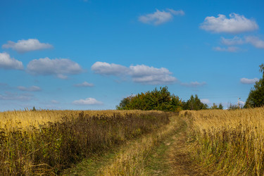 Similar image 6510022