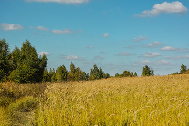 Similar image 6510023