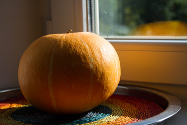 Similar image 6510037