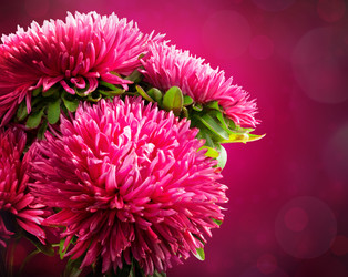 Similar image 6510060