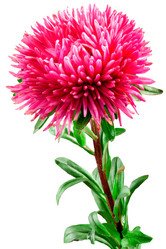 Similar image 6510061