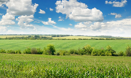 Similar image 6510063