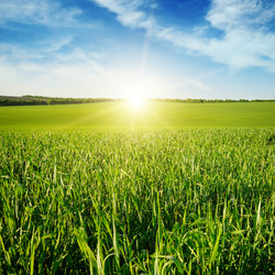 Similar image 6510064