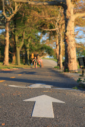 Similar image 6510135