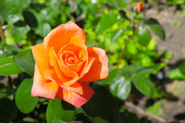 Similar image 6510342