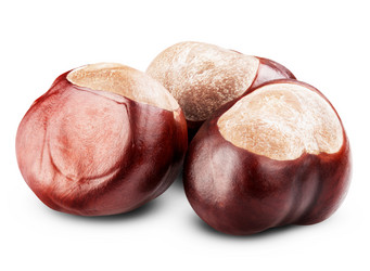 Similar image 6510449