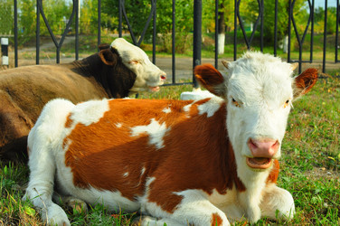 Similar image 6510463