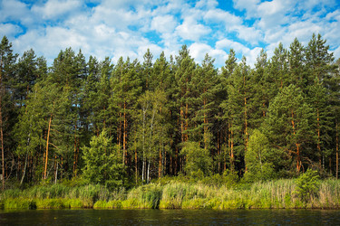 Similar image 6510466