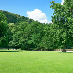 Similar image 6510484