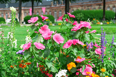 Similar image 6510487