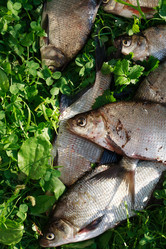 Similar image 6510577