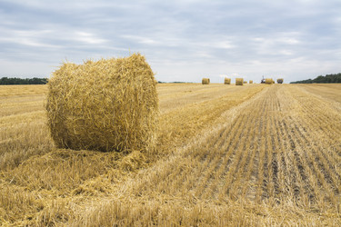 Similar image 6510626