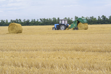 Similar image 6510628