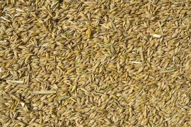 Similar image 6510629