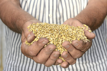 Similar image 6510630