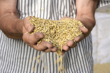 Similar image 6510631