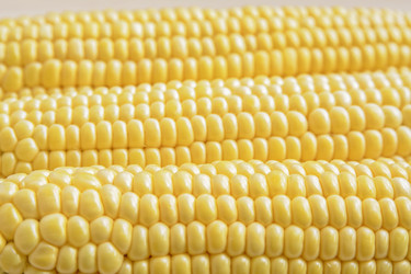 Similar image 6510685