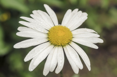 Similar image 6510689