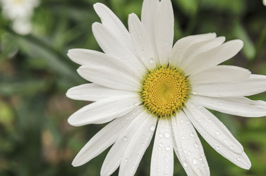 Similar image 6510690