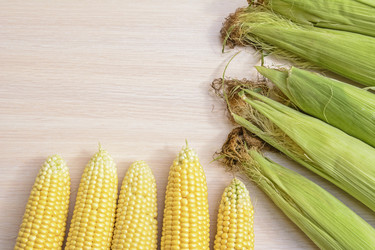 Similar image 6510694