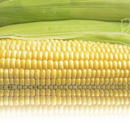 Similar image 6510695