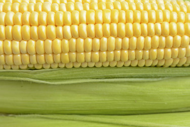 Similar image 6510696