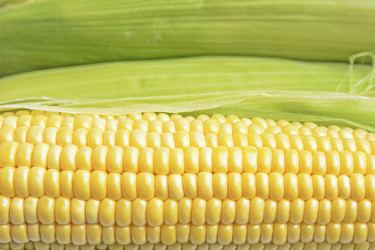 Similar image 6510697