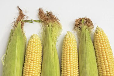 Similar image 6510698