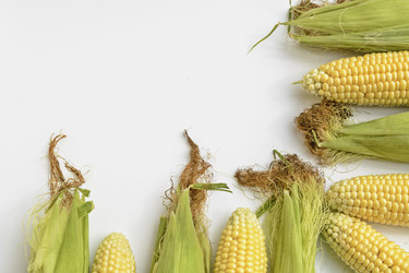 Similar image 6510700