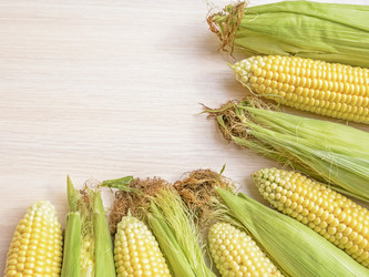 Similar image 6510702