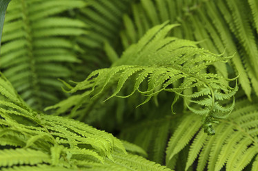 Similar image 6510703